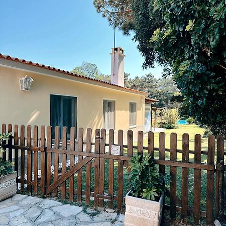 Casa Girassol With A Beautiful Private Pool And Garden Villa Синтра Екстериор снимка