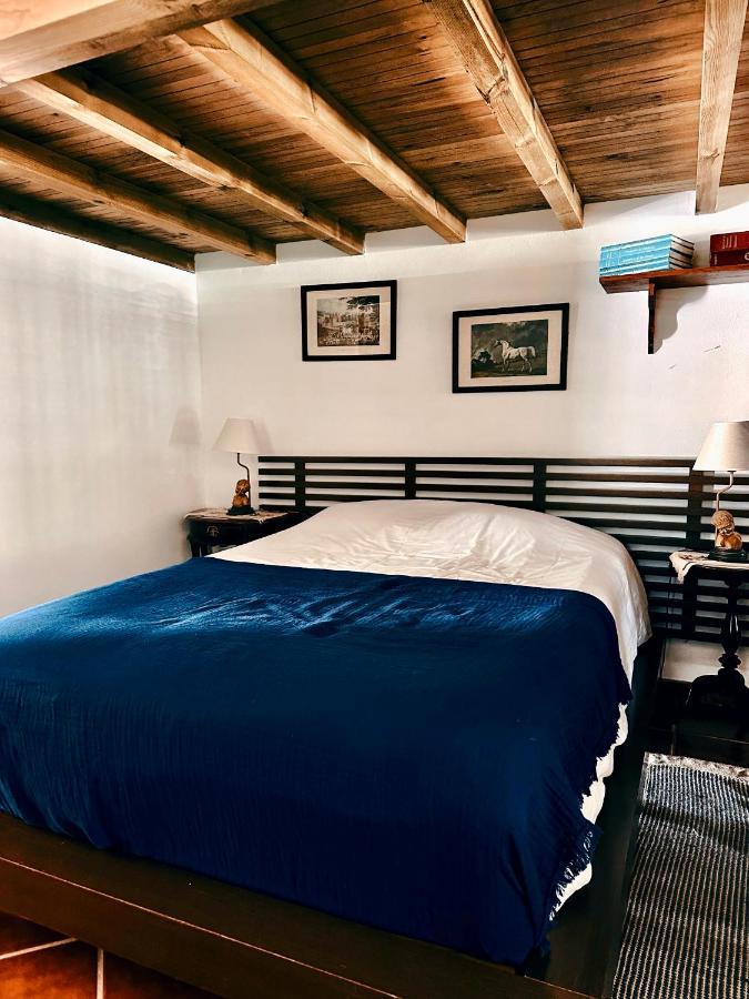 Casa Girassol With A Beautiful Private Pool And Garden Villa Синтра Екстериор снимка